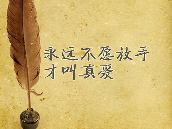 不离不弃才叫真心；相依相伴才叫真爱；同甘共苦才叫真情