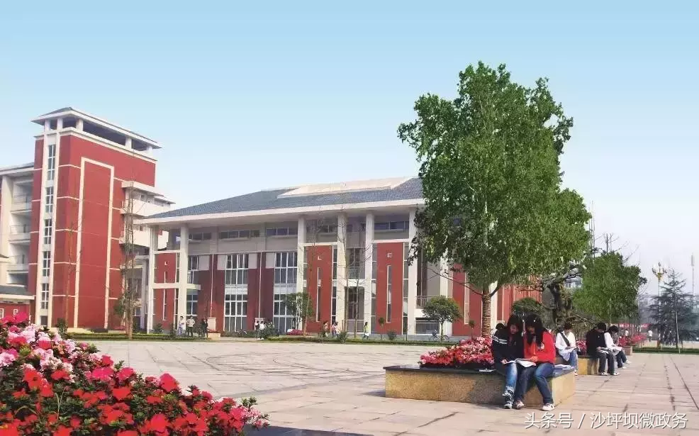 沙坪坝这几所大学的花已绽放，开得五彩斑斓，还全部免费哦！