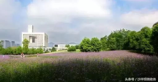 沙坪坝这几所大学的花已绽放，开得五彩斑斓，还全部免费哦！