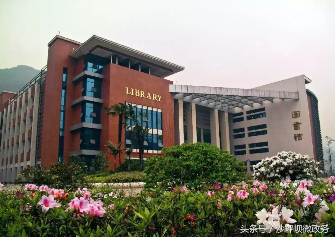 沙坪坝这几所大学的花已绽放，开得五彩斑斓，还全部免费哦！