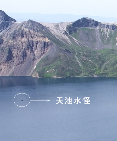 穆纳王者踪迹电影好看吗 _晶羽科技