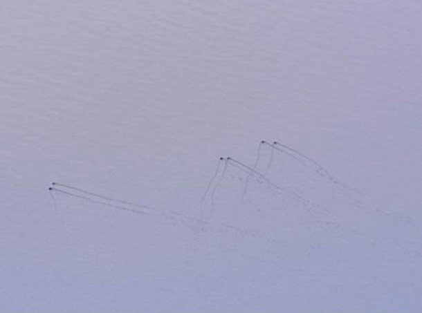 长白山天池 中国的尼斯湖“水怪”