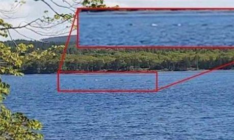 穆纳王者踪迹电影好看吗 _晶羽科技