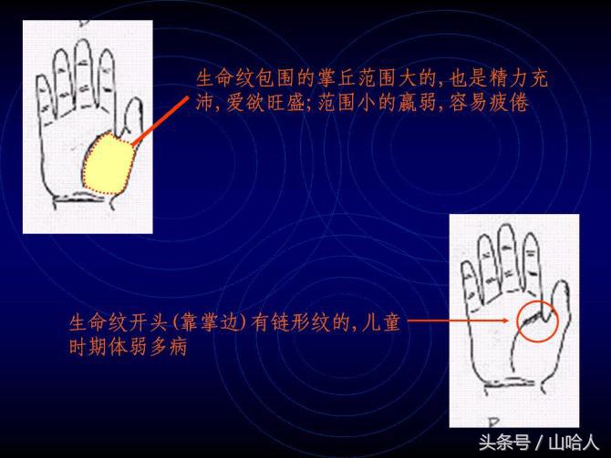 教你如何看手相，手相图解：男左女右