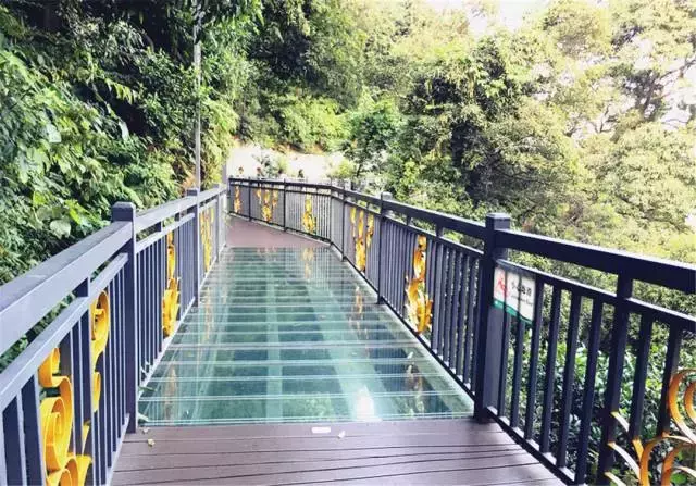 广东省10大惊险刺激的玻璃桥栈道,你敢挑战吗?