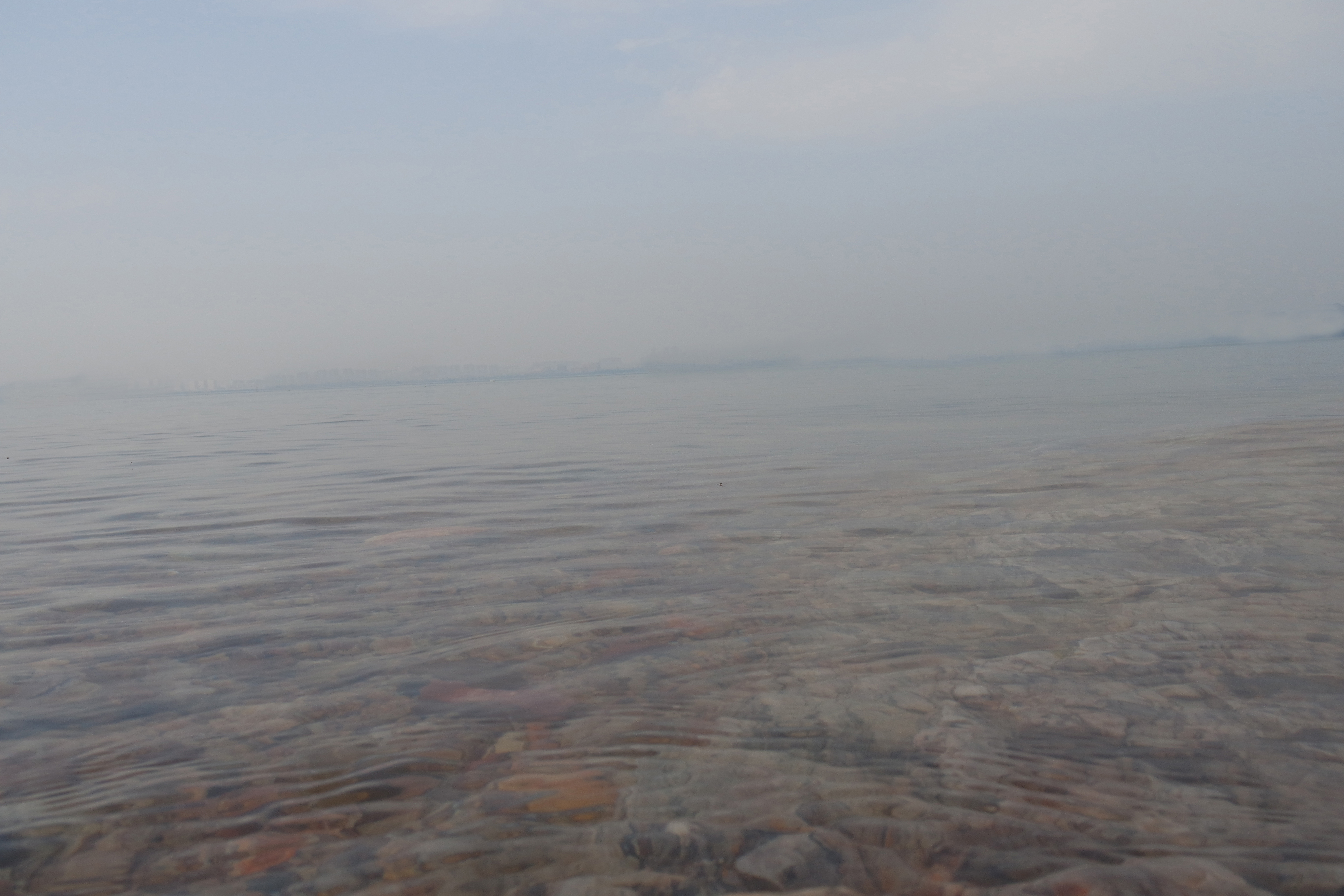 “粉樱”下的武昌理工学院，灵魂深处的感伤！