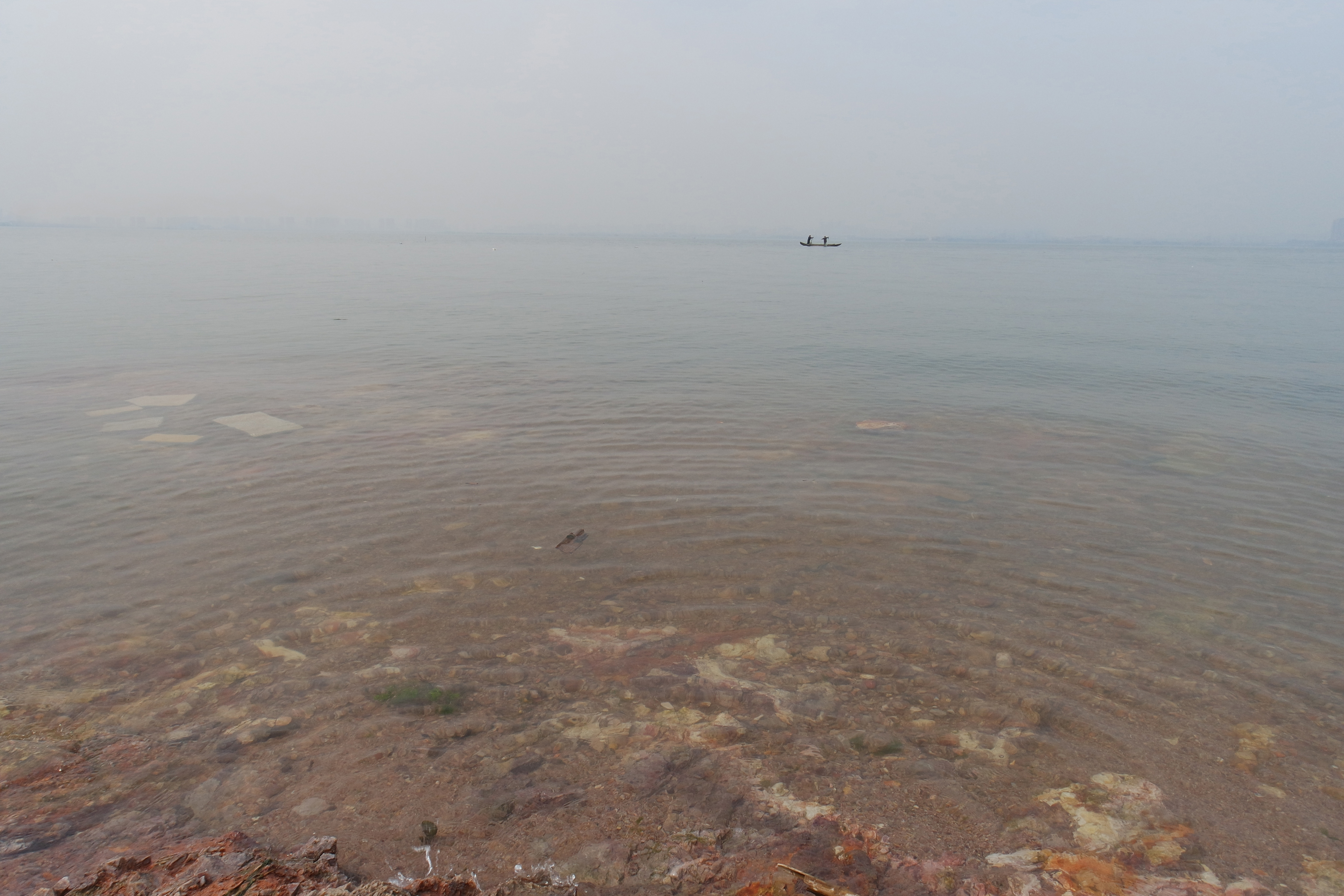 “粉樱”下的武昌理工学院，灵魂深处的感伤！