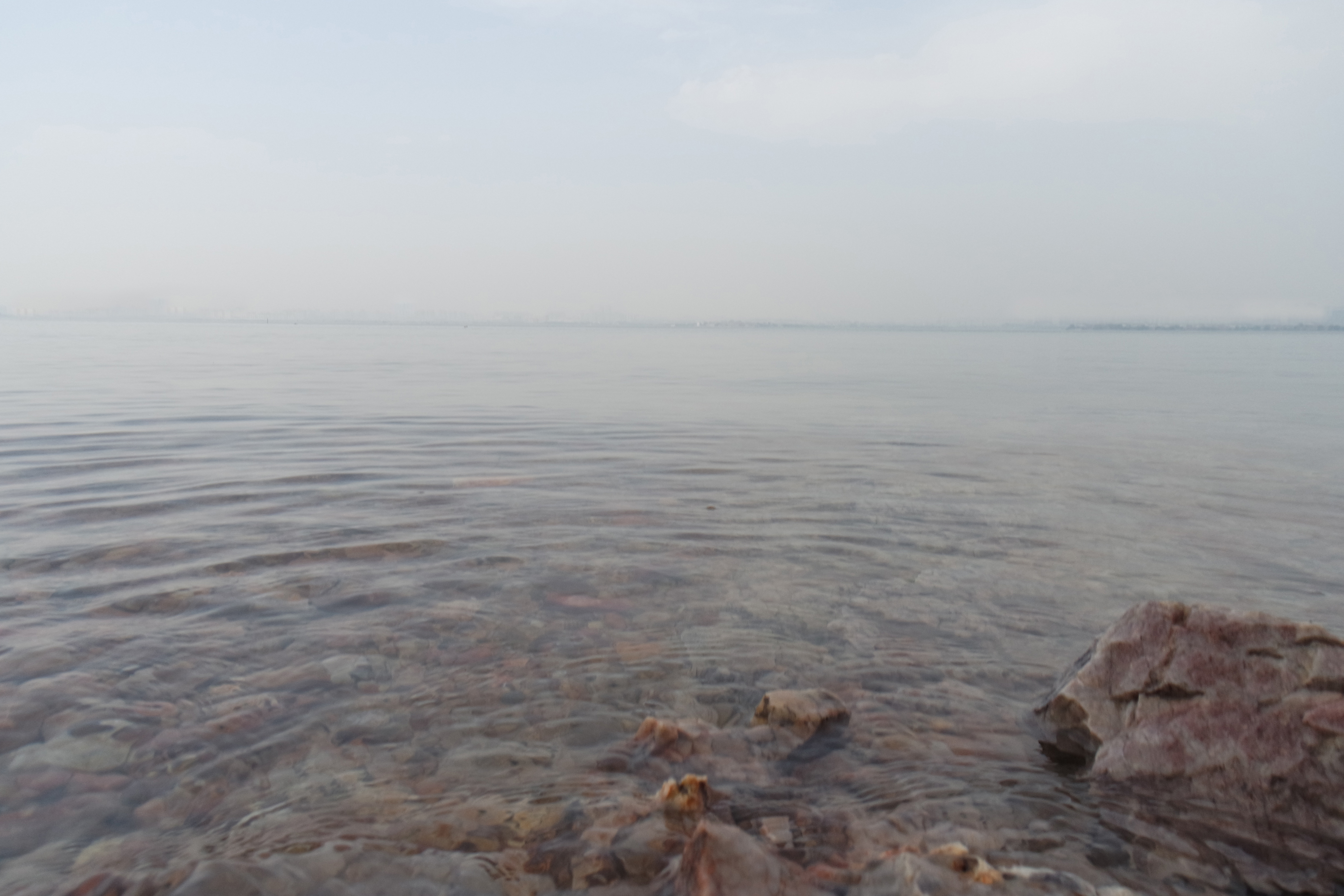 “粉樱”下的武昌理工学院，灵魂深处的感伤！