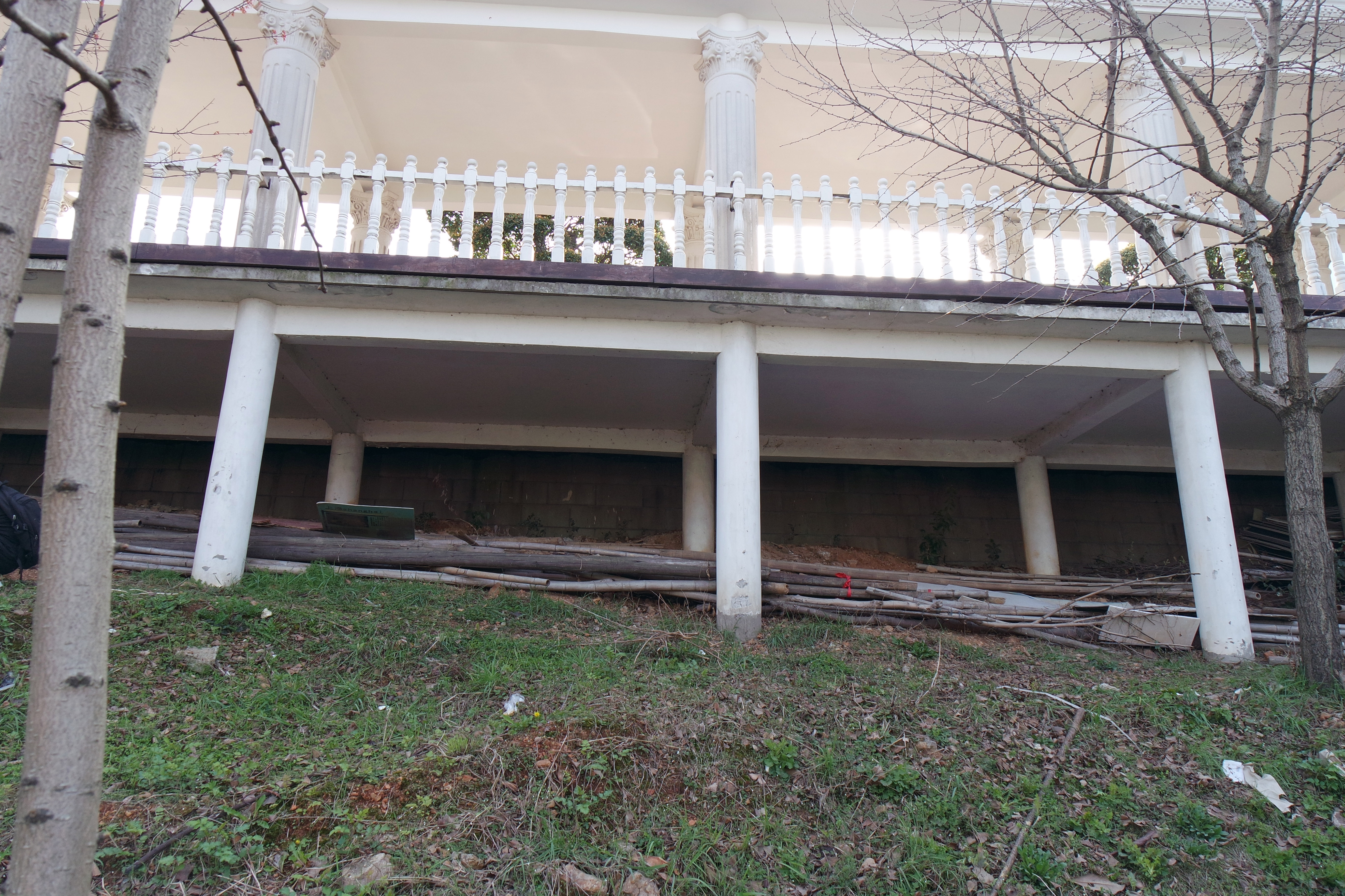 “粉樱”下的武昌理工学院，灵魂深处的感伤！