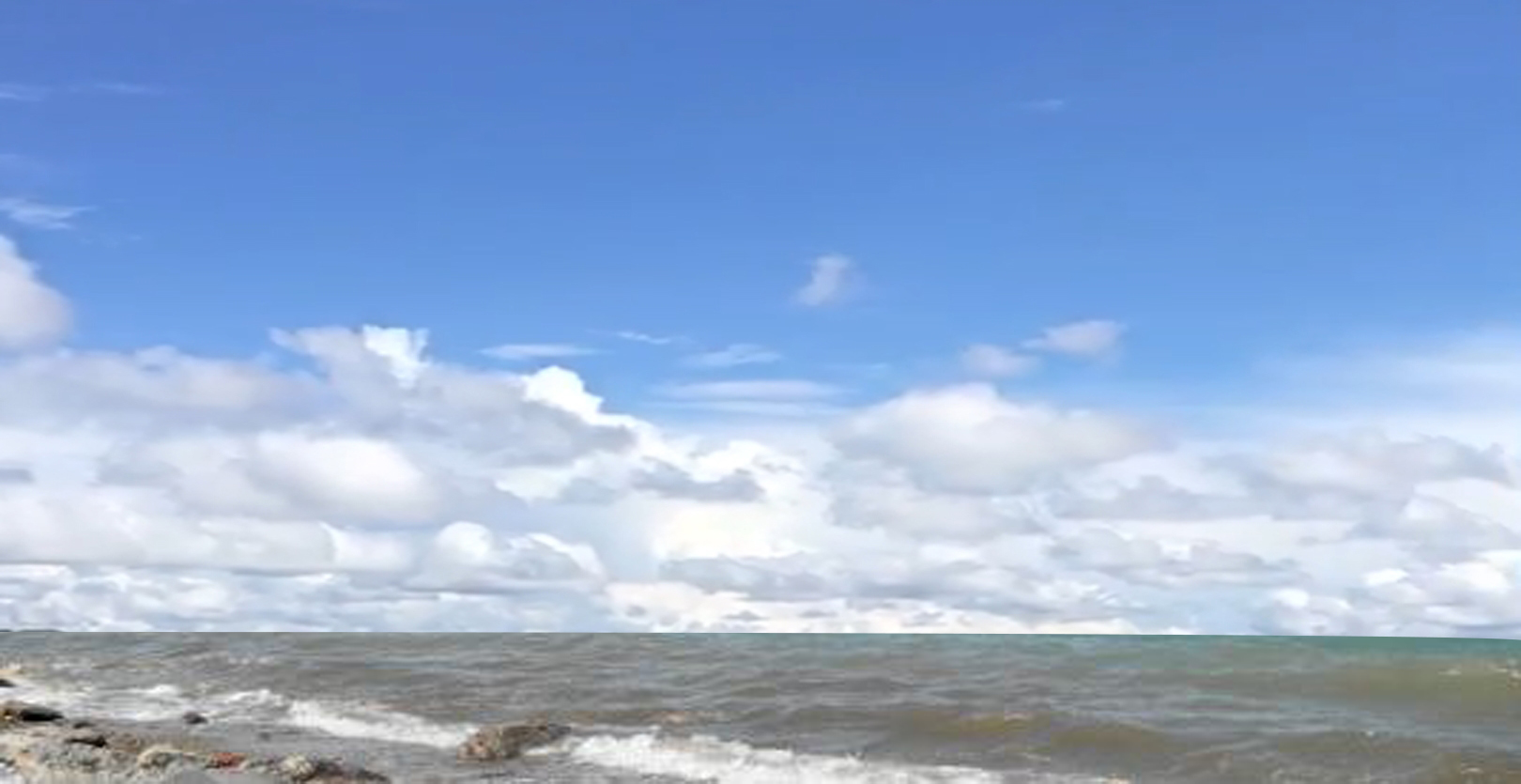 “粉樱”下的武昌理工学院，灵魂深处的感伤！