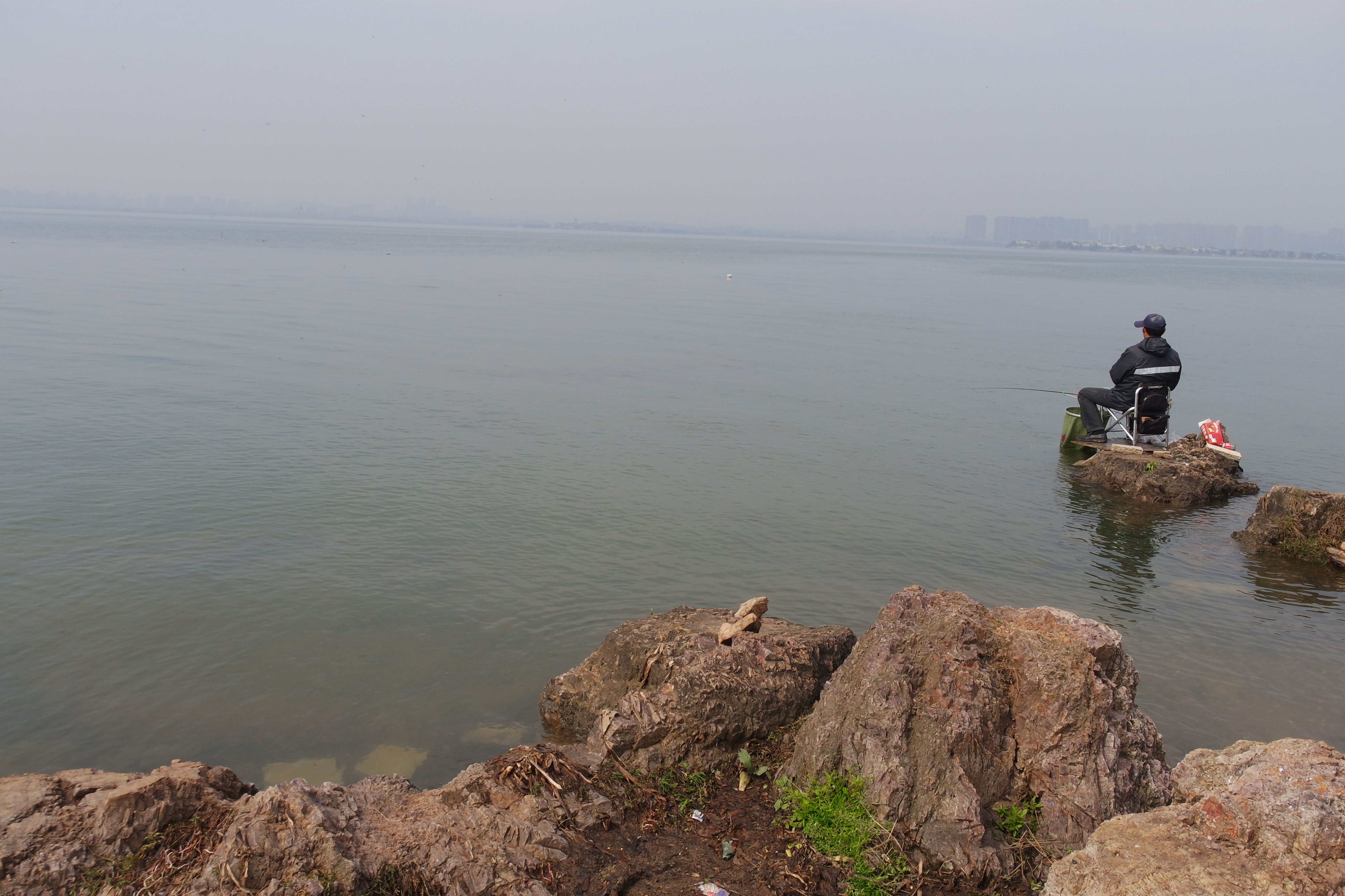 “粉樱”下的武昌理工学院，灵魂深处的感伤！