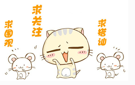 子玉研习花舍精简介绍家居用花，每日一花之玖：千日红