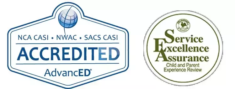 美国幼教连锁Primrose Schools怎样与特许加盟商1+1>2？| 国际