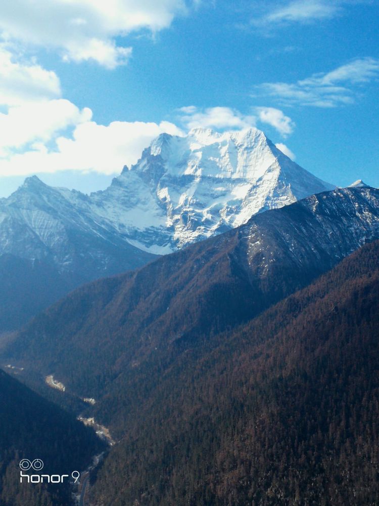 一路种花，一路纵酒，在川西的碧水青山里，写自己的句子