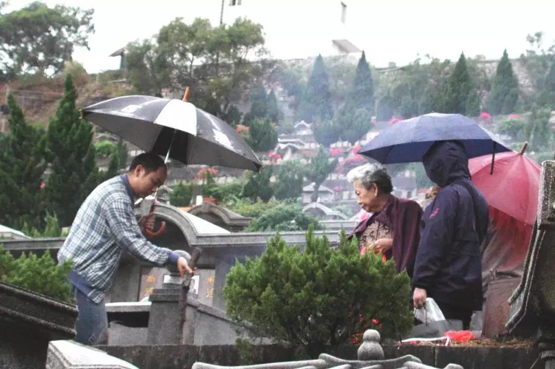 青团是哪里的特产（7大地区的青团知名度对比）