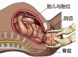 宝宝的前囟门很重要，儿科医生告诉你这件事不要做