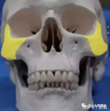 美炸天的纯天然网红搭配各种小众香水，吊打被尬捧的街香小花们
