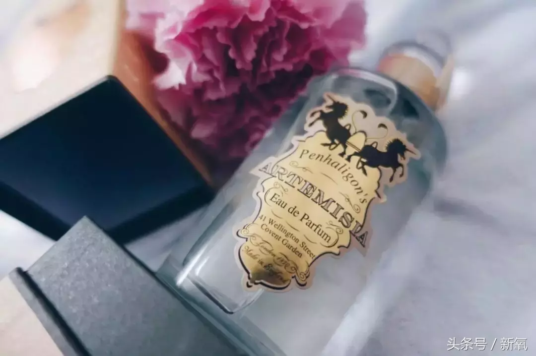 美炸天的纯天然网红搭配各种小众香水，吊打被尬捧的街香小花们
