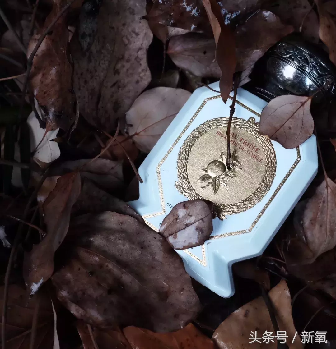 美炸天的纯天然网红搭配各种小众香水，吊打被尬捧的街香小花们