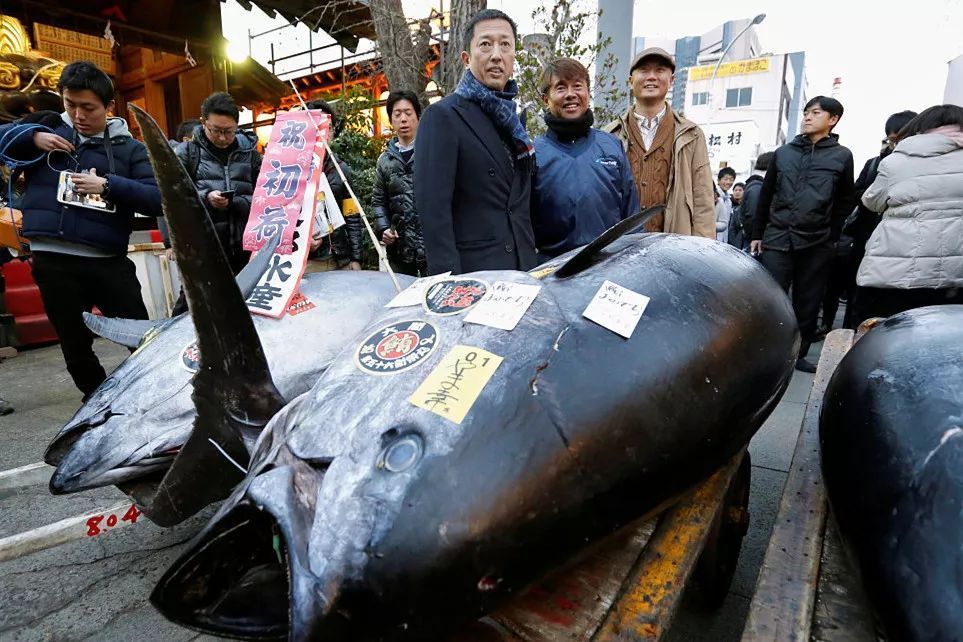 不想在吃日本料理时一脸懵然，就来认识一下这些字都是些什么鱼