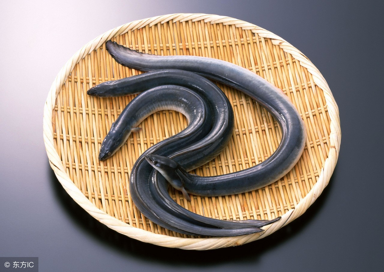 不想在吃日本料理时一脸懵然，就来认识一下这些字都是些什么鱼