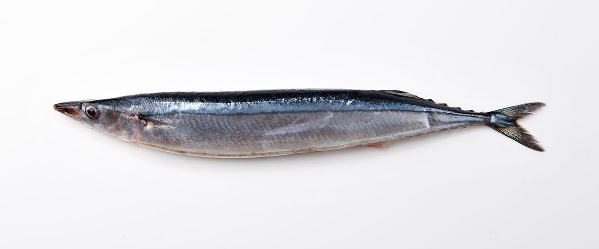 不想在吃日本料理时一脸懵然，就来认识一下这些字都是些什么鱼