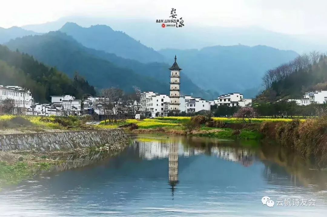 【头条美女诗人】幽兰静雅：几番听雨春分砚，万里同心夜赌茶