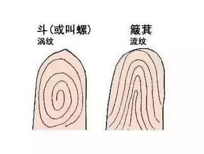一斗穷二斗富,三斗四斗卖豆腐……从指纹看运势,据说很准