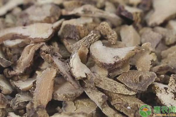 種植白芨賺錢嗎,種植白芨賺錢嗎?