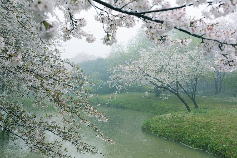 我们又不得不穿上那厚厚的冬装,烟雨蒙蒙的意境美我们是无法体验到了