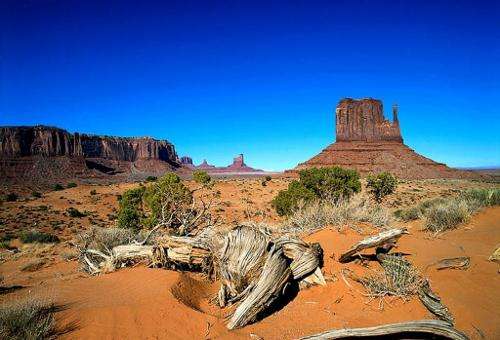 “七绝圣手”王昌龄12首诗词，带你领略边塞风光！