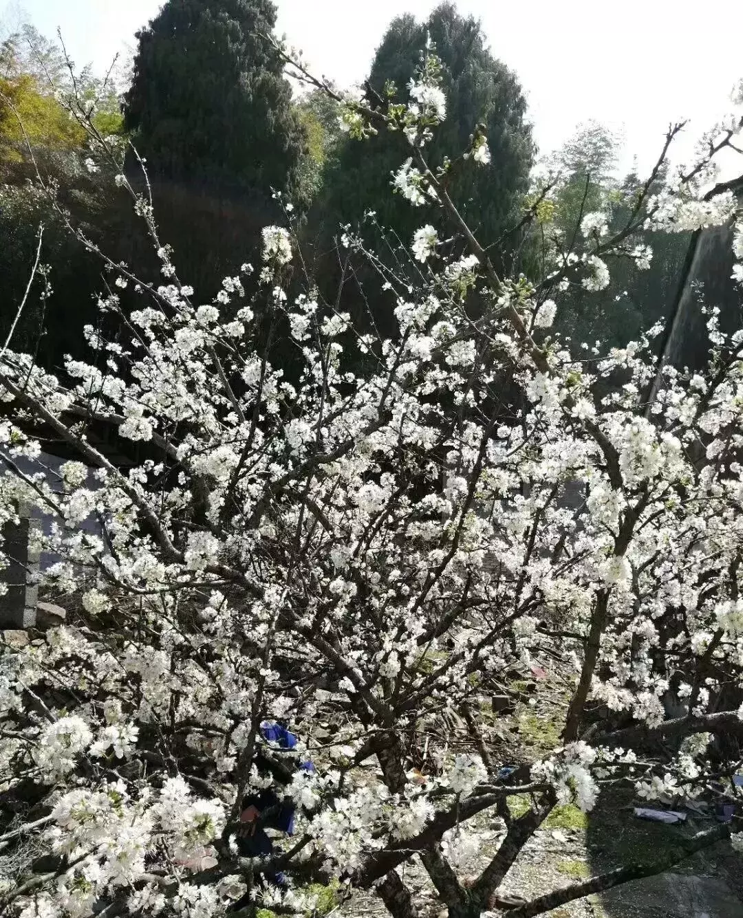 写作指导｜可用作作文题记的句子，一眼就能爱上，发人深思