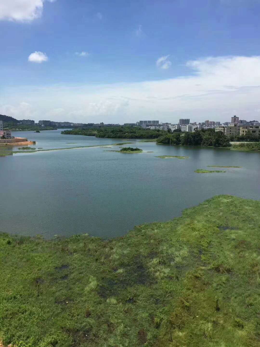 全新项目:三地铁口黄金地段《福新豪苑》，离国际会展中心1000米