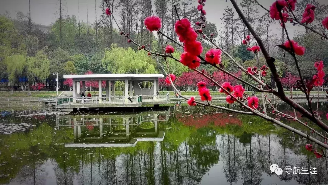 走进名校20：华中科技大学