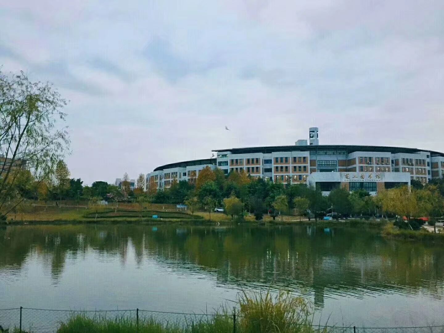 温暖龙岩 我在龙院