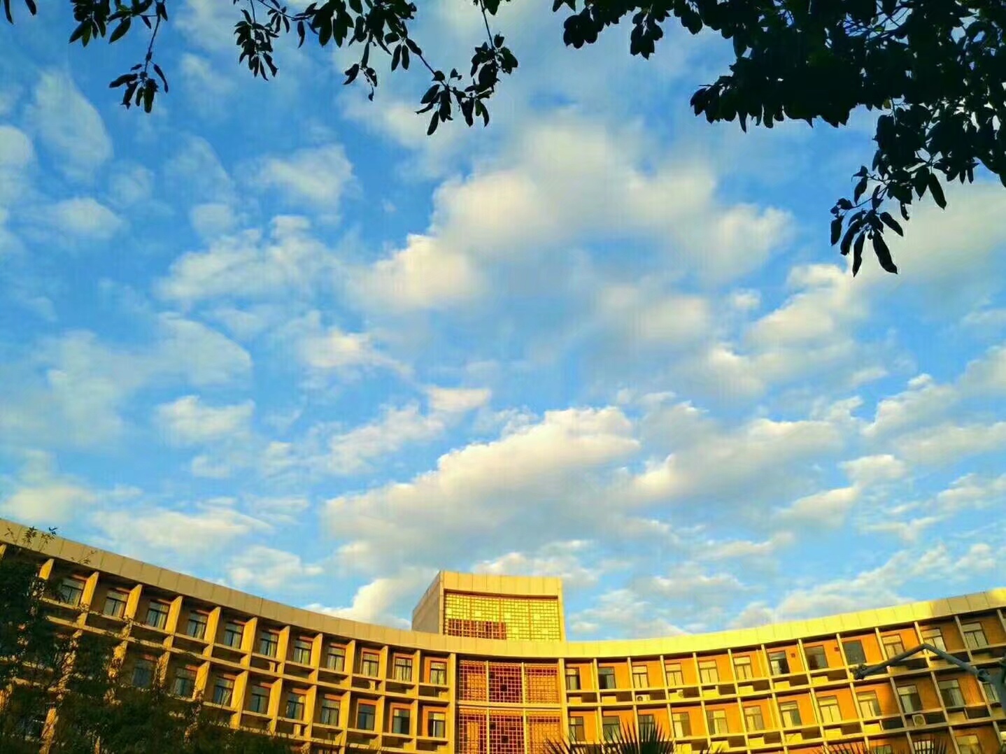 温暖龙岩 我在龙院