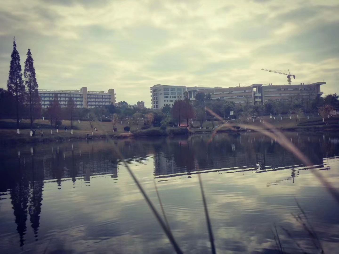 温暖龙岩 我在龙院