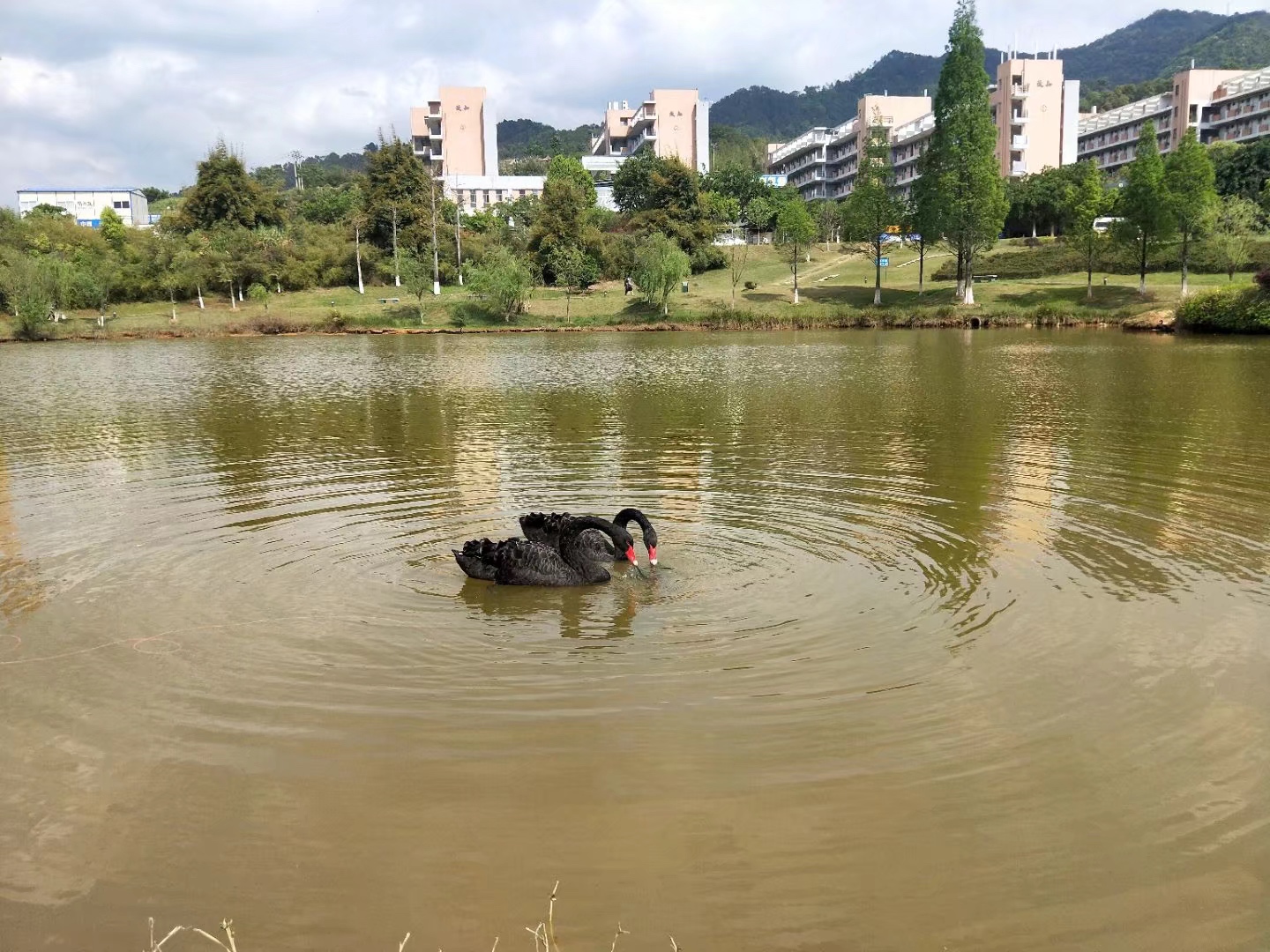 温暖龙岩 我在龙院