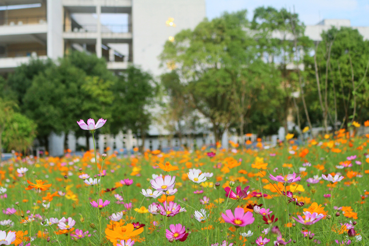 温暖龙岩 我在龙院
