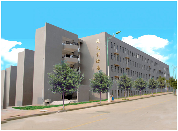 温暖龙岩 我在龙院