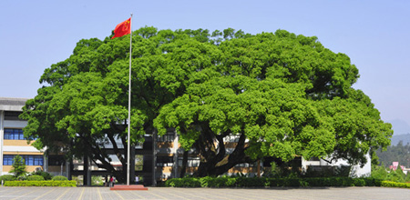 温暖龙岩 我在龙院