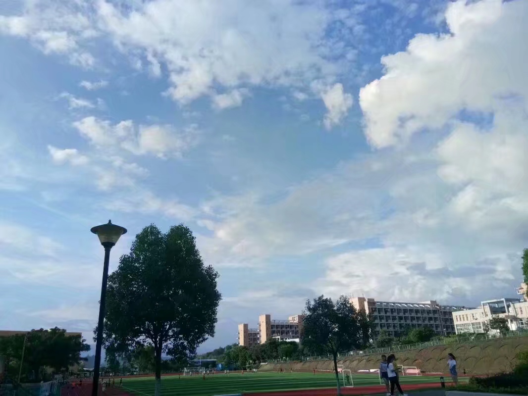 温暖龙岩 我在龙院