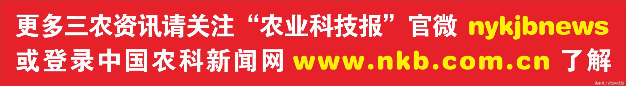 农机也能“私人订制”？这个老铁相当靠谱！