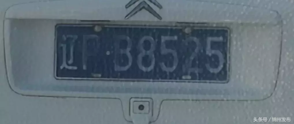 锦州又一批违法号牌车辆被曝光!看看有没有你