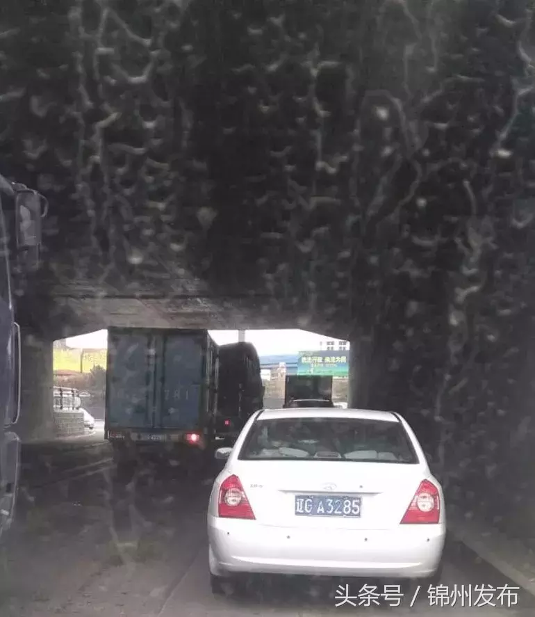 锦州又一批违法号牌车辆被曝光!看看有没有你