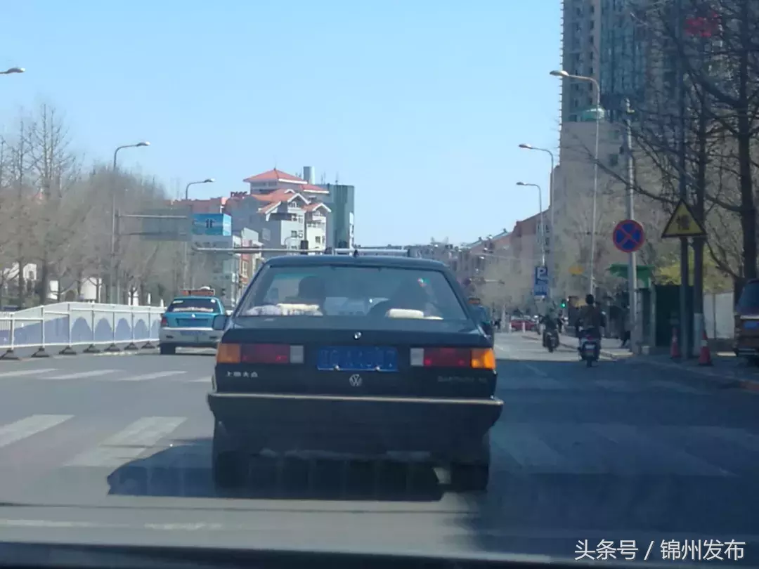 锦州又一批违法号牌车辆被曝光!看看有没有你
