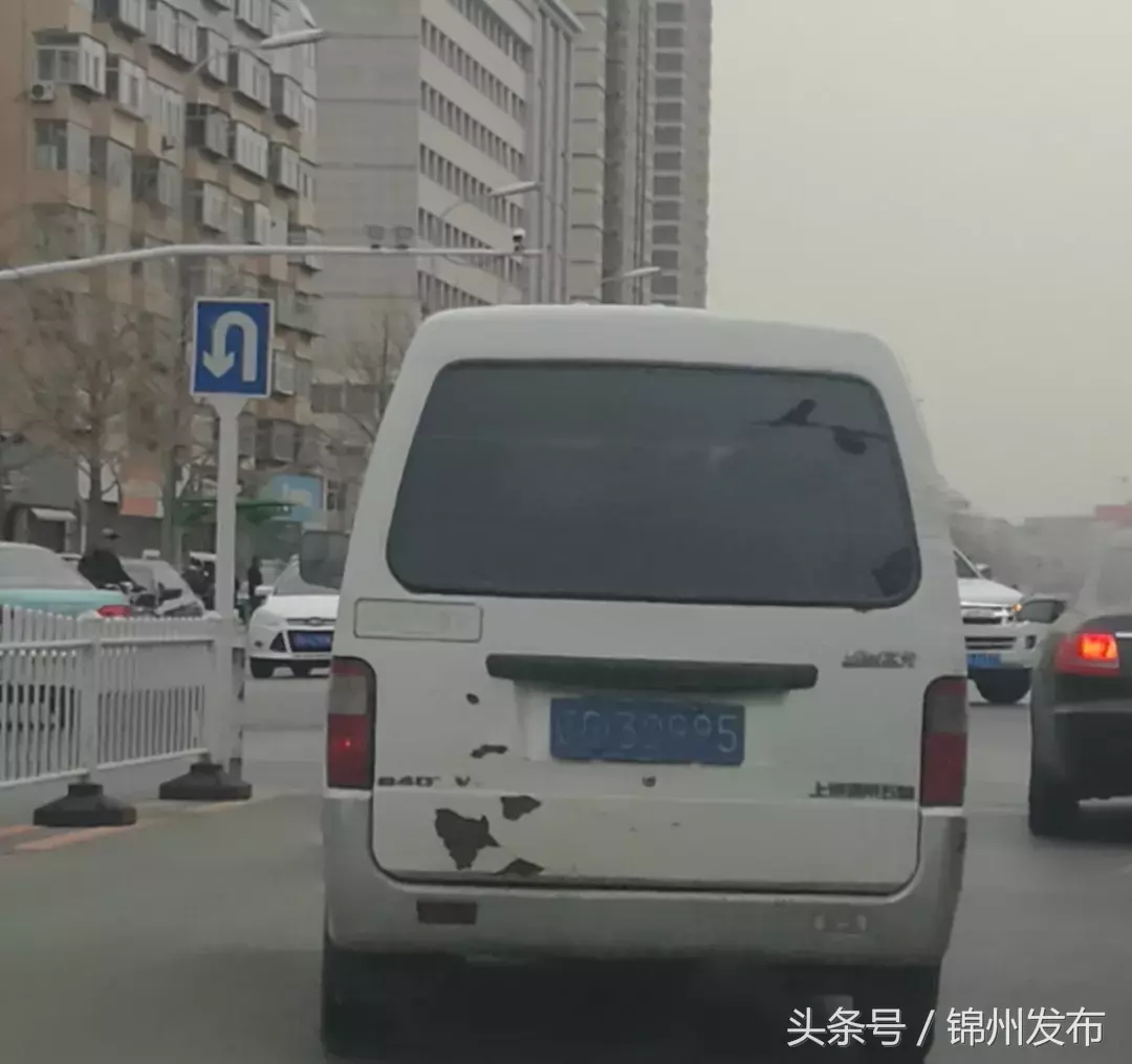 锦州又一批违法号牌车辆被曝光!看看有没有你