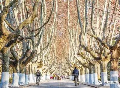 走进名校34：西安交通大学