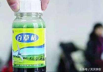 大热天拿大葱喂羊，结果把羊“毒”死了？近日，这则趣事在江苏如东流传。