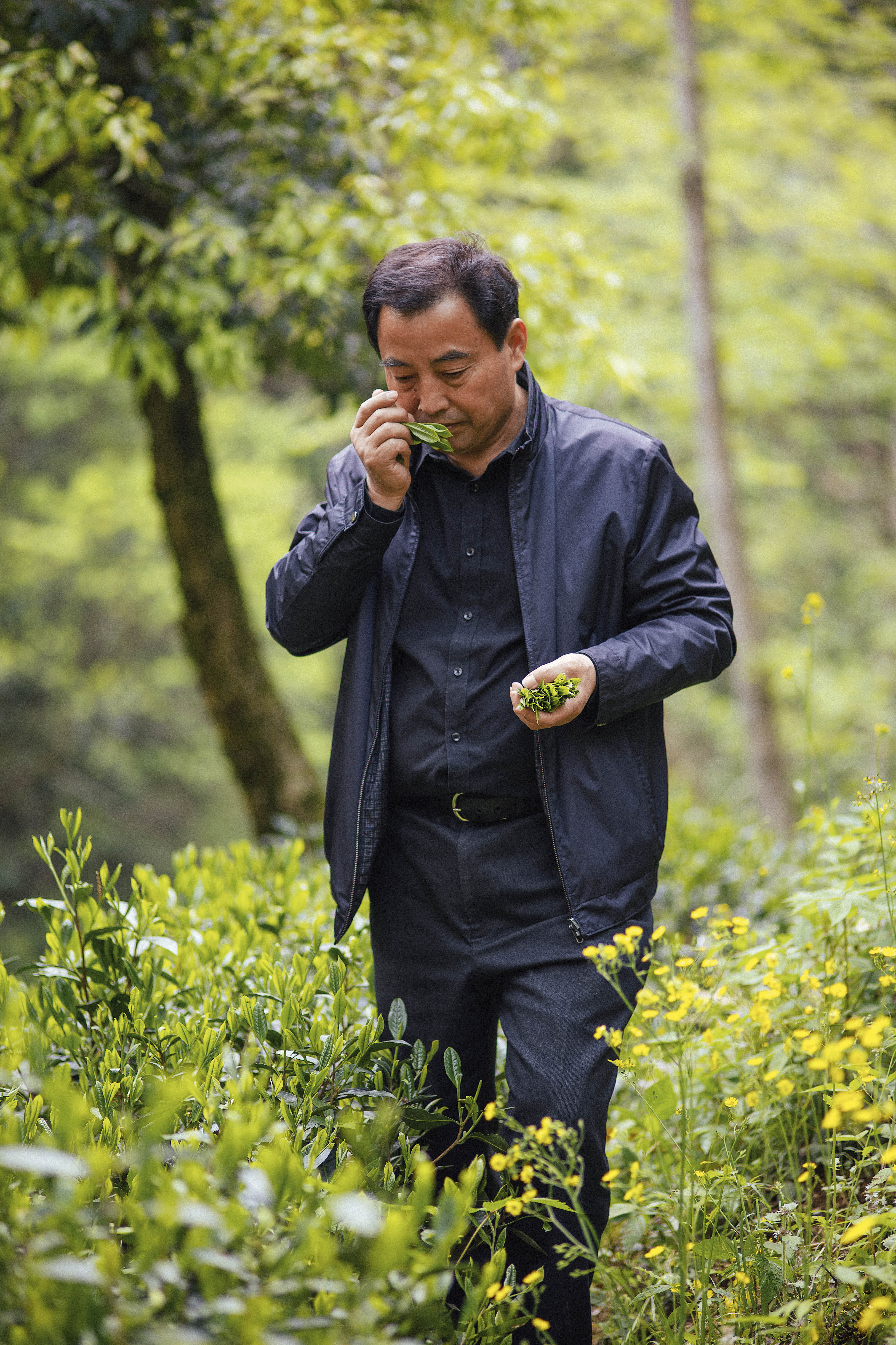 寻找徽州茶：茶汤中的人情与礼节